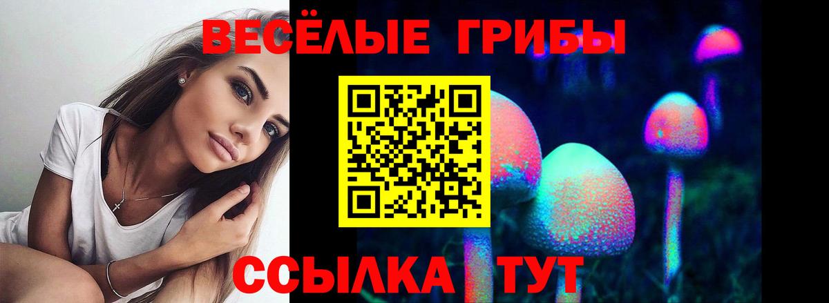 Чапаевск  Псилоцибиновые грибы Cubensis  Вход с VPN  Псилоцибиновые грибы мухоморы 